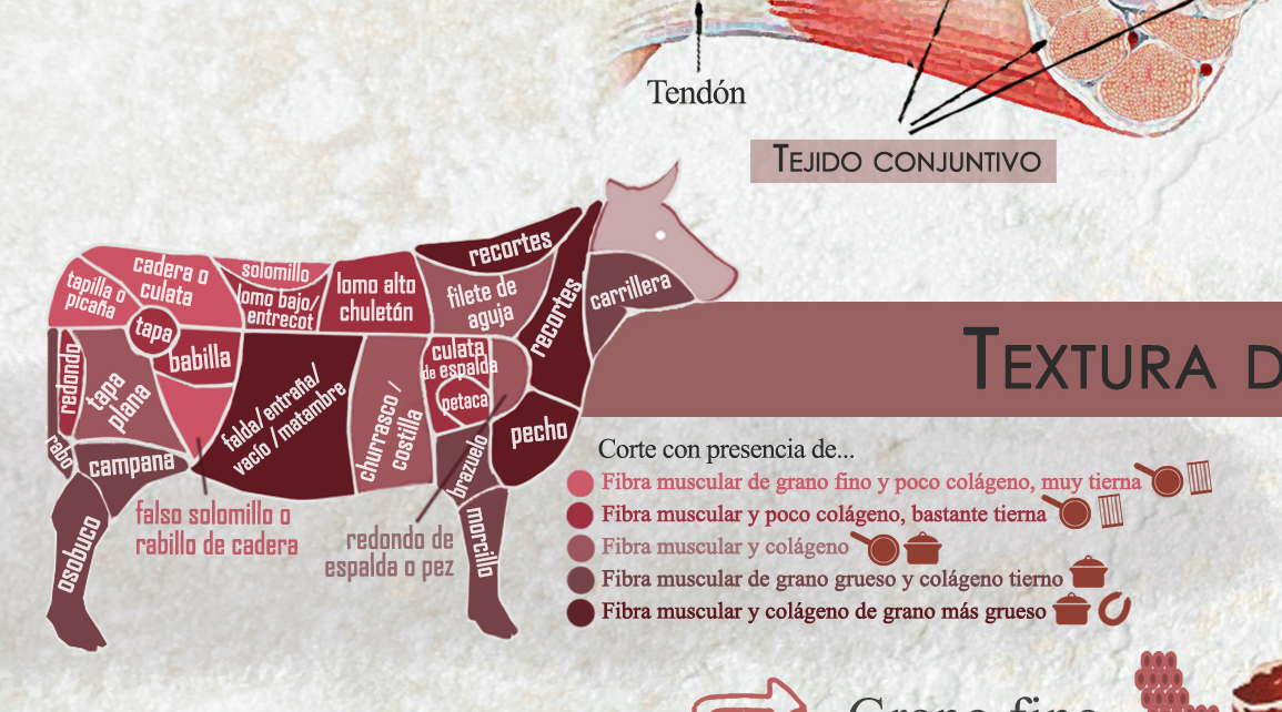 Partes de la ternera